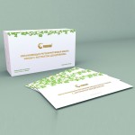 Nawilżająca regenerująca maseczka do twarzy Fohow z ekstraktem z dendrobium