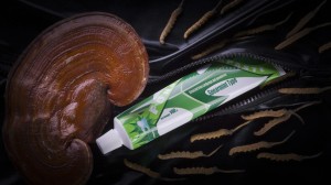 Pasta do zębów bez fluoru miętowa Fohow Cordyceps 1 szt.