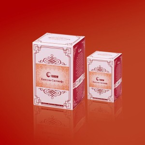 Fohow XUEQINFU 120 sztuk po 250 mg Kapsułki Siueczinfu  Feniks - oczyszczacz naczyń krwionośnych Nattokinaza