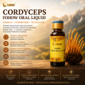 Trzypak Fohow Oral Liquid Eliksir Feniks Kordiceps