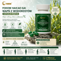 Kuracja Fohow: mikrobiota - metabolizm - regeneracja